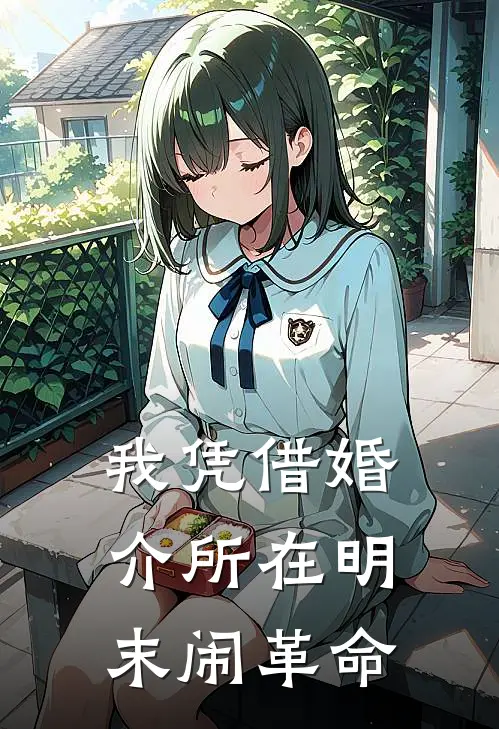 我凭借婚介所在明末闹革命