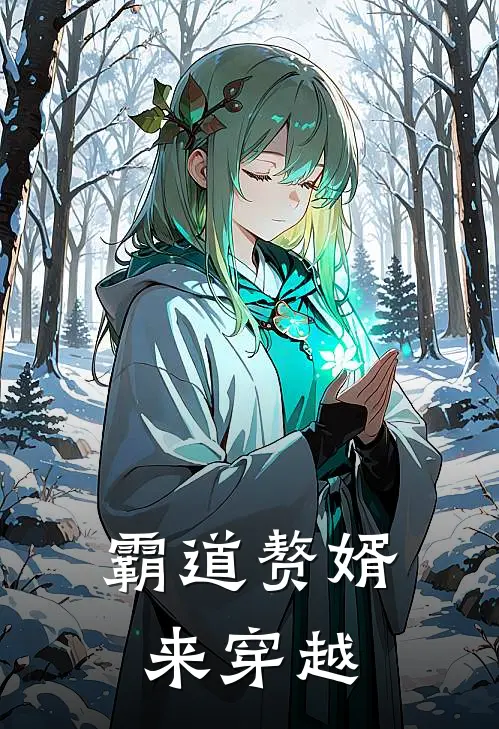 霸道赘婿来穿越